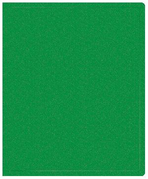 Папка на 2-х кольцах Buro -ECB413/2RGREEN A4 пластик 0.5мм зеленый