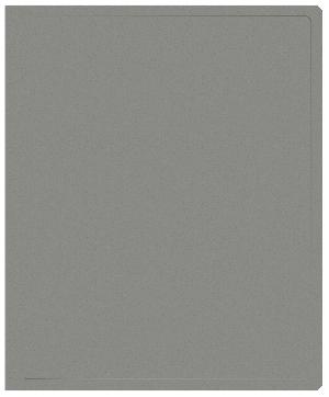 Папка на 2-х кольцах Buro -ECB0420/2RGREY A4 пластик 0.5мм серый