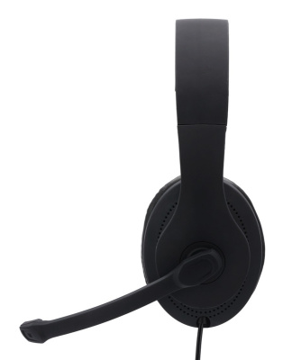 Наушники с микрофоном Hama HS-USB300 черный 2м мониторные оголовье (00139924)