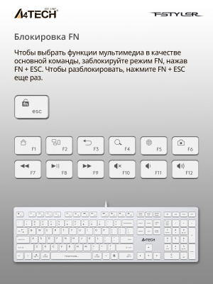 Клавиатура A4Tech Fstyler FX50 белый USB slim Multimedia (FX50 WHITE)