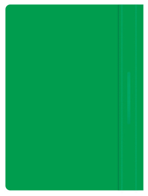 Папка-скоросшиватель Buro -PSE20BU/GRN A4 прозрач.верх.лист пластик зеленый 0.11/0.13