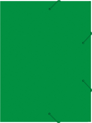 Папка-короб на резинке Бюрократ -BA25/05GRN пластик 0.5мм корешок 25мм A4 зеленый