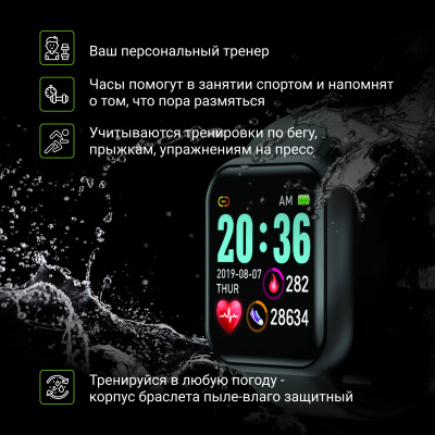Смарт-часы Digma Smartline R1 1.3" TFT корп.черный рем.черный (R1B)