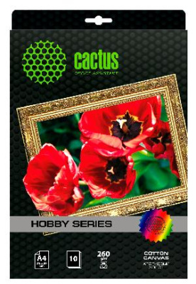 Холст Cactus CS-CA426010 A4/260г/м2/10л. для струйной печати