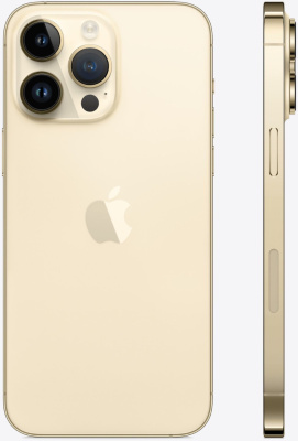 Смартфон Apple A2896 iPhone 14 Pro Max 128Gb 6Gb золотой моноблок 3G 4G 2Sim 6.7" 1290x2796 iOS 16 48Mpix 802.11 a/b/g/n/ac/ax NFC GPS TouchSc Protect