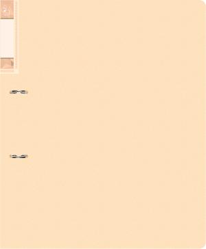 Папка на 2-х D-кольцах Бюрократ Gems GEM0812/2RCREAM A4 пластик 0.7мм кор.32мм торц.карм с бум. встав кремовый жемчуг