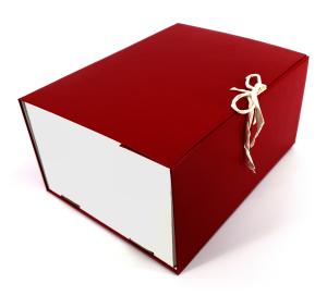 Короб архивный 2 завязки Silwerhof КБЗ-2-150P бумвинил корешок 150мм разобранный ассорти