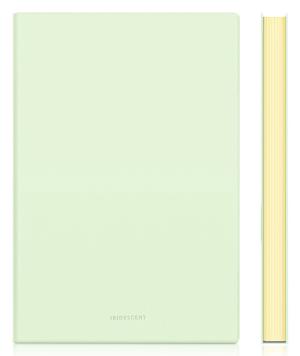 Блокнот Deli EN140LGREEN A5 210х143мм искусст. кожа 96л линейка мягкая обложка зеленый