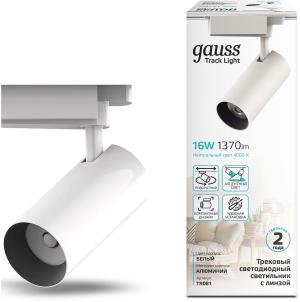 Светильник Gauss TR081 4000K цв.св.:белый нейтральный белый