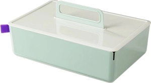 Короб для хранения Deli XDM16green 2отд. 317x212x142,5мм зеленый/серый пластик