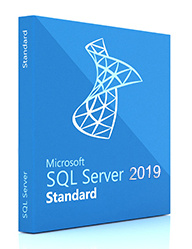 ПО Microsoft SQL Server Standard 2019 English DVD 10 Clt (228-11548)