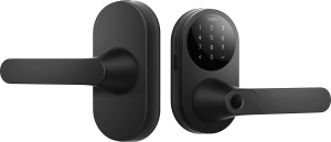Умный замок Aqara Smart Door Lock U300 навесной разбл.отпеч.паль./код/пар/NFC/прил/мех.кл черный (DL-D02D_BL)
