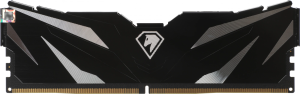 Память DDR5 16GB 5600MHz Netac NTSWD5P56SP-16K Shadow II RTL PC5-44800 CL46 DIMM ECC 288-pin 1.1В Intel с радиатором Ret