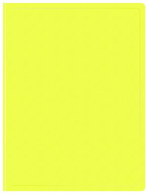 Папка с 20 прозр.вклад. Бюрократ Double Neon DNE07V20YEL A4 пластик 0.7мм желтый