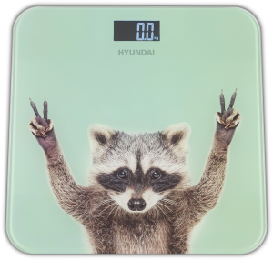 Весы напольные электронные Hyundai H-BS03589 макс.180кг мятный