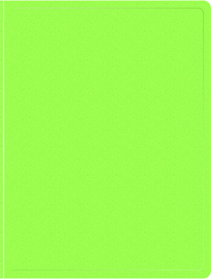 Папка метал.пруж.скоросш. Бюрократ Double Neon DNE07PLETT A4 пластик 0.7мм кор.27мм карм.прод.внут. салатовый