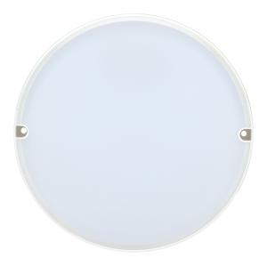 Светильник IEK ДПО2005 12Вт 6500K белый (LDPO0-2005-12-6500-K01)