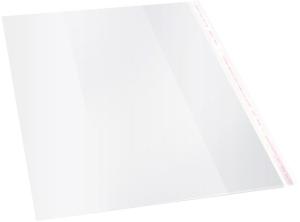 Обложка Silwerhof 382174 Монстрики для учебника с липк.сл. (набор 10шт) ПП 70мкм гладкая прозр. 250х380мм