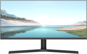 Монитор NPC 29" MZ300L черный IPS LED 21:9 (Ultrawide) HDMI M/M матовая HAS 1000:1 250cd 178гр/178гр 2560x1080 180Hz G-Sync FreeSync DP Ultra WQHD 5.2кг
