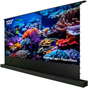 Экран Cactus 148x263см FloorRising CS-PSFRCLR-263X148 16:9 напольный рулонный черный (моторизованный привод)