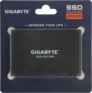 Накопитель SSD Gigabyte SATA-III 256GB GP-GSTFS31256GTND 2.5"