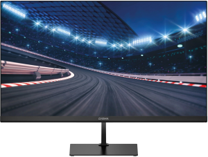 Монитор Digma 24.5" Overdrive 25P510F черный IPS LED 1ms 16:9 HDMI матовая Piv 250cd 178гр/178гр 1920x1080 180Hz DP FHD 3.6кг