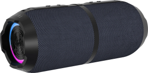 Колонка порт. Ural Гагарин ГР-003 серый 30W 2.0 BT 10м 2500mAh (УРАЛ ГР-003 СЕРЫЙ)