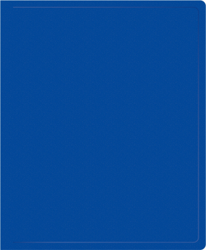 Папка на 2-х кольцах Silwerhof Eco A4 пластик 0.5мм кор.18мм синий