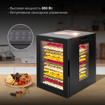 Сушка для фруктов и овощей Hyundai HYFD-8803 28под. 850Вт черный
