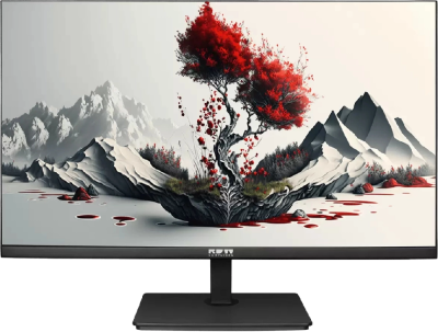 Монитор RDW Computers 23.8" RDW2401K черный IPS 4ms 16:9 HDMI M/M матовая HAS Piv 1000:1 300cd 178гр/178гр 1920x1080 100Hz VGA DP FHD 1.7кг (RUS)