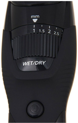 Триммер Panasonic ER-GB42-K520 черный (насадок в компл:1шт)