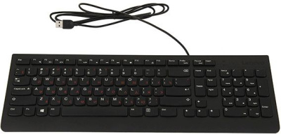 Клавиатура + мышь Lenovo 300 U клав:черный мышь:черный USB (GX30M39635)