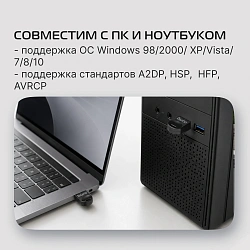 Адаптер USB Buro BU-BT530 BT5.3+EDR class 1.5 20м черный