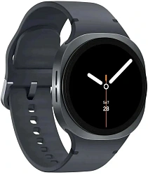 Смарт-часы Samsung Galaxy Watch 8 1.34" Super AMOLED корп.графитовый рем.графитовый (SM-L320NDAAMEA)