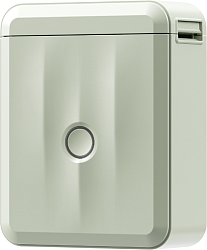 Термопринтер Niimbot D110 M (1746804) 203dpi 40мм/с/USB/BT для печ.этик. зеленый