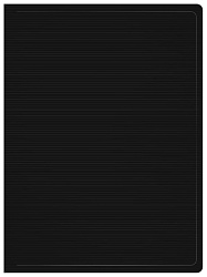 Папка с 20 прозр.вклад. Бюрократ DeLuxe DLV20BLCK A4 пластик 0.7мм черный