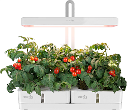 Гидропонная установка Cactus Garden 3л 20Вт белый (CS-LEDPOT-08)
