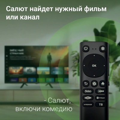 Телевизор LED Digma 32" DM-LED32SBB34 Салют ТВ Frameless Metal черный HD 60Hz DVB-T DVB-T2 DVB-C DVB-S DVB-S2 USB WiFi Smart TV