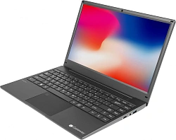 Ноутбук Gateway Ultra Slim 14 Ryzen 5 3500U 8Gb SSD256Gb AMD Radeon Vega 8 14.1" IPS FHD (1920x1080) Windows 11 Home black WiFi BT Cam (GWNR51416-BK)
