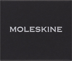 Шильд-символ Moleskine Zodiac Стрелец металл серебристый коробка с европод. PINSAGITTARIUSSILV