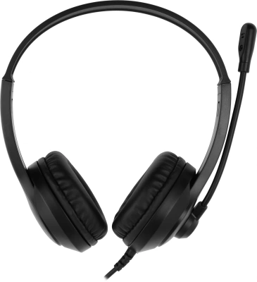 Наушники с микрофоном A4Tech Fstyler FH100 черный 2м накладные оголовье (FH100 (STONE BLACK))