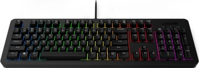 Клавиатура Lenovo Legion K310 RGB черный USB Multimedia for gamer LED (GY41N91872)