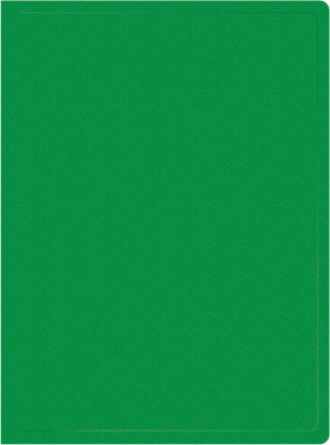 Папка с 20 прозр.вклад. Silwerhof Eco A4 пластик 0.5мм зеленый