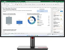 Монитор Lenovo 27" ThinkVision P27h-30 черный IPS LED 6ms 16:9 DVI HDMI матовая HAS Piv 1000:1 350cd 178гр/178гр 2560x1440 60Hz DP 2K USB 7кг