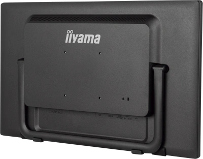 Монитор Iiyama 23.8" ProLite T2455MSC-B1 черный IPS LED 16:9 HDMI M/M глянцевая 1000:1 400cd 178гр/178гр 1920x1080 60Hz DP FHD USB Touch 4.4кг