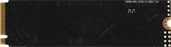 Накопитель SSD AMD PCIe 3.0 x4 480GB R3MP30480G8 Radeon M.2 2280