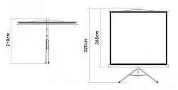 Экран на треноге Digis 135" 248x250см Kontur-D DSKD-1108 1:1 напольный рулонный белый