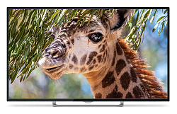 Телевизор LED PolarLine 55" 55PU11TC-SM черный 4K Ultra HD 60Hz DVB-T DVB-T2 DVB-C DVB-S2 WiFi Smart TV (RUS)