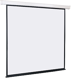 Экран Lumien 119" 220x220см Master Control LMC-100125 1:1 настенно-потолочный рулонный (моторизованный привод)