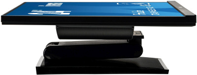 Монитор Iiyama 23.8" ProLite T2454MSC-B1AG черный IPS 4ms 16:9 HDMI M/M матовая HAS 1000:1 250cd 178гр/178гр 1920x1080 60Hz VGA FHD USB Touch 5.5кг